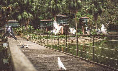 Chao Hanoi Botanical Garden