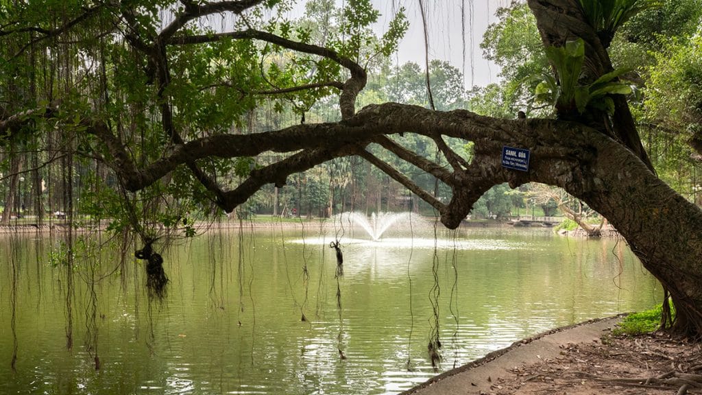 Hanoi Botanical Garden 2020