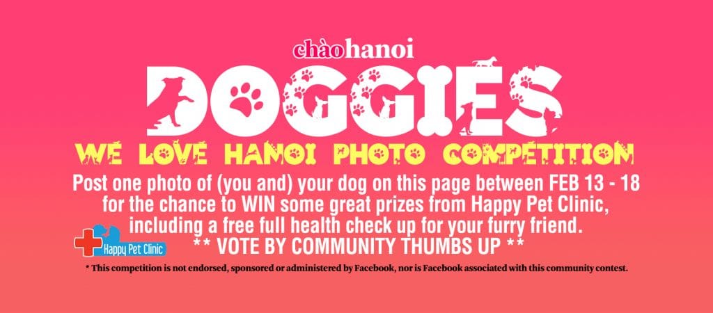 FB Dog Photo Competition Banner V7