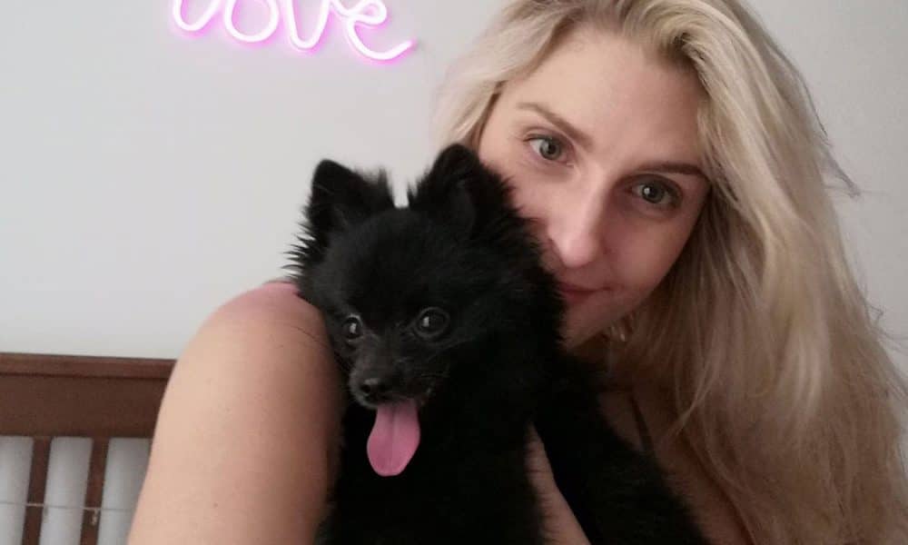 Hanoi Dog Bonnie And Eevee