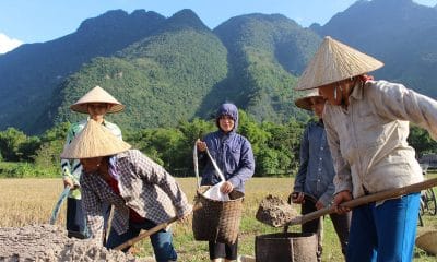 Vietnam Field Working Clothes