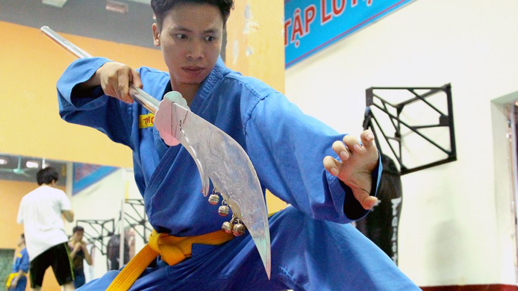 Vovinam Martial Art Vietnam