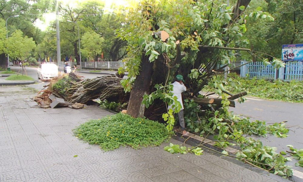 Typhoon Goni heading towards South Central Vietnam - Chao Hanoi