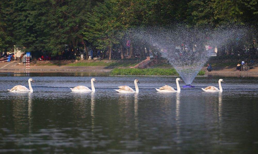 Da N Thie N Nga Tre N Ho Thuye 3790 2728 1611143985